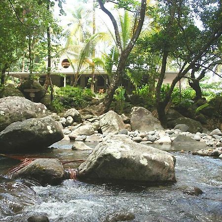 Citrus Creek Plantation Villa La Plaine ภายนอก รูปภาพ