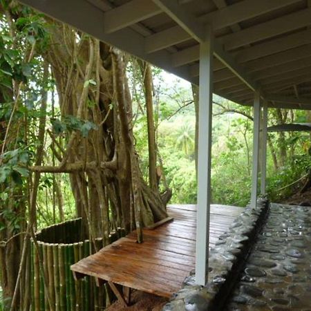 Citrus Creek Plantation Villa La Plaine ภายนอก รูปภาพ