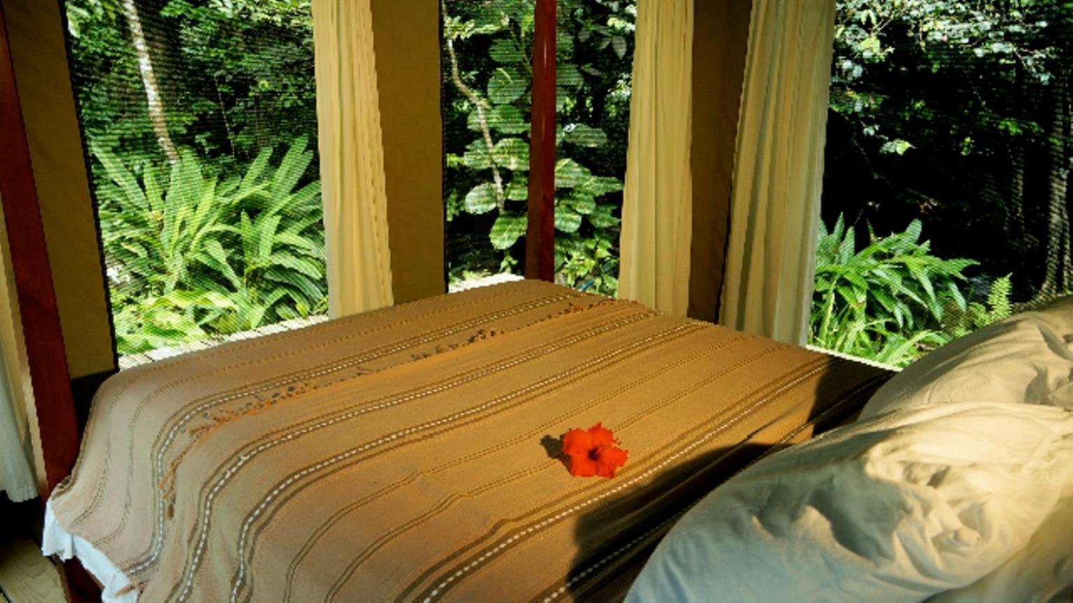 Citrus Creek Plantation Villa La Plaine ภายนอก รูปภาพ