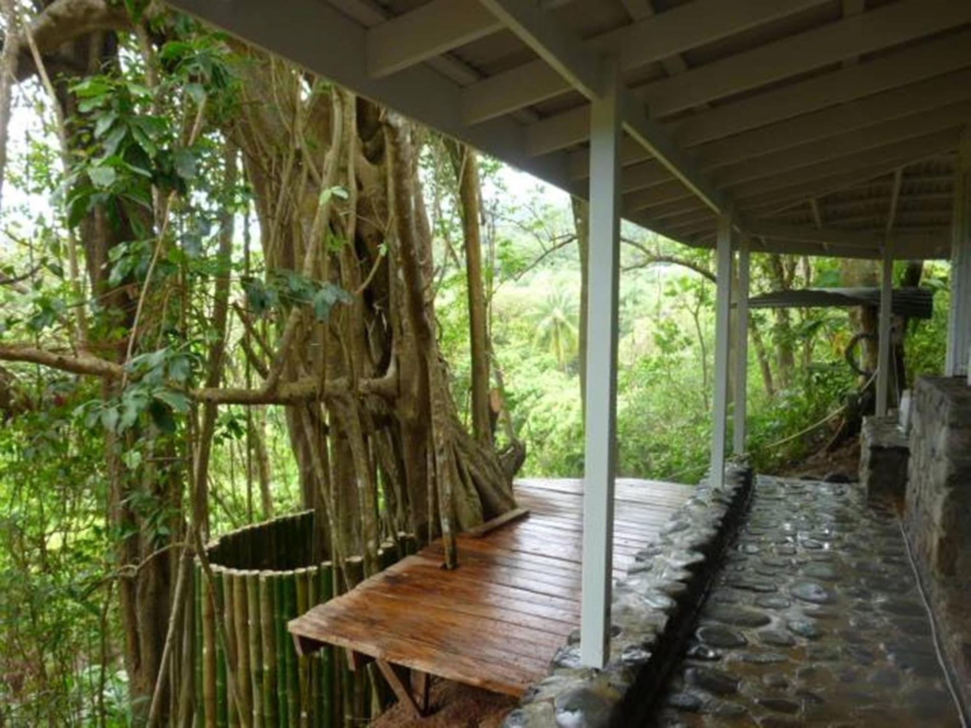 Citrus Creek Plantation Villa La Plaine ภายนอก รูปภาพ