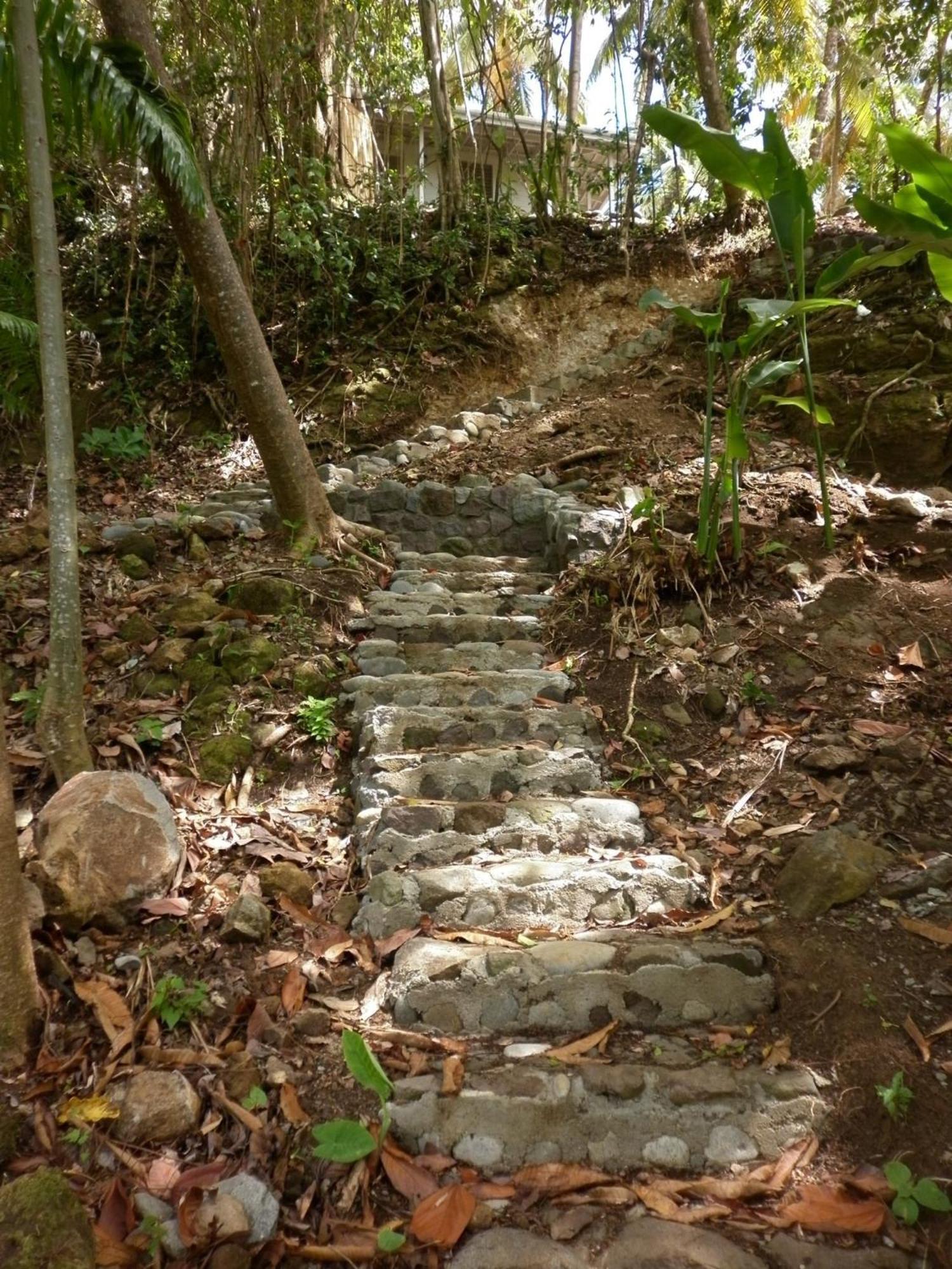 Citrus Creek Plantation Villa La Plaine ภายนอก รูปภาพ