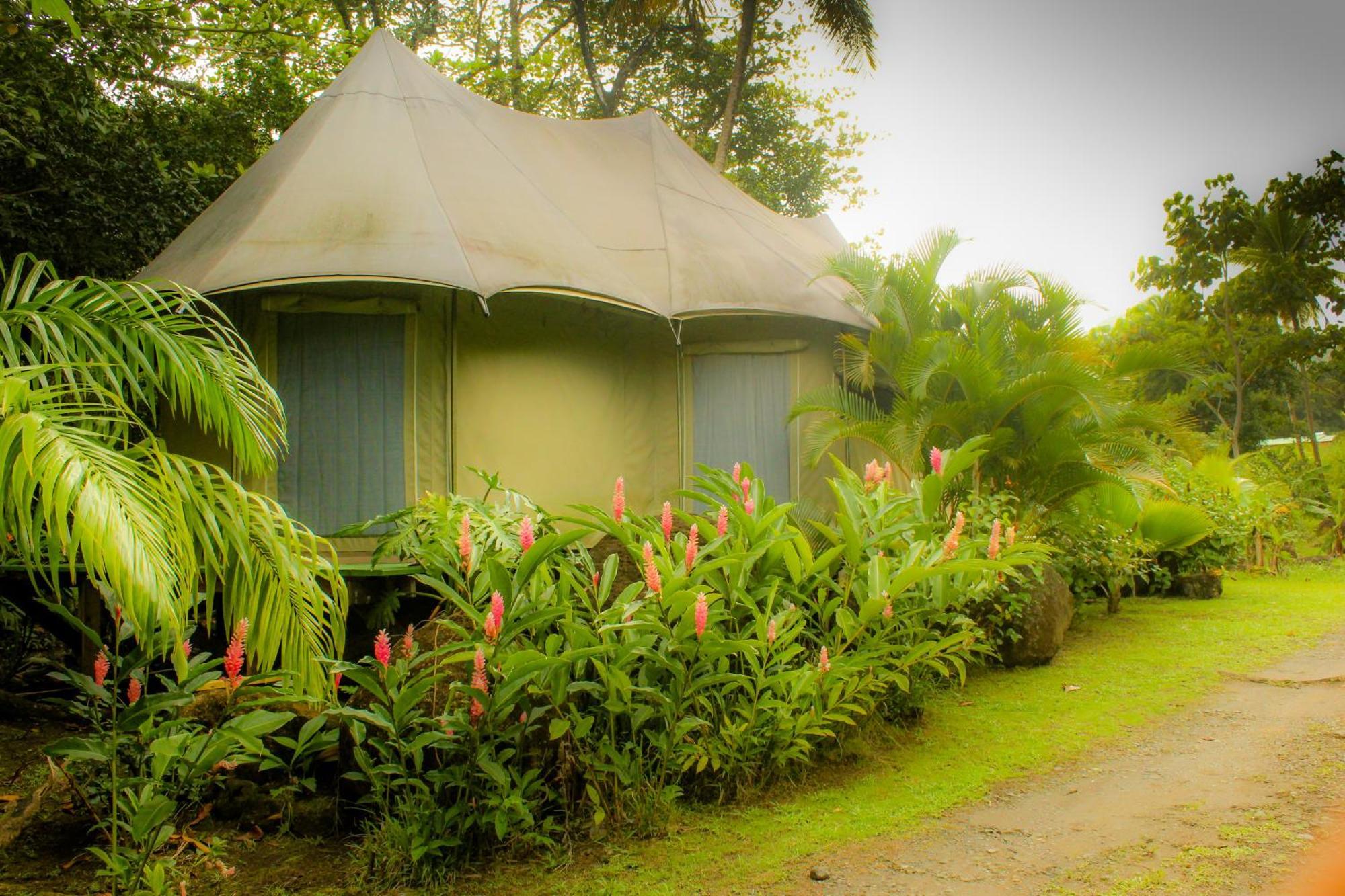 Citrus Creek Plantation Villa La Plaine ห้อง รูปภาพ