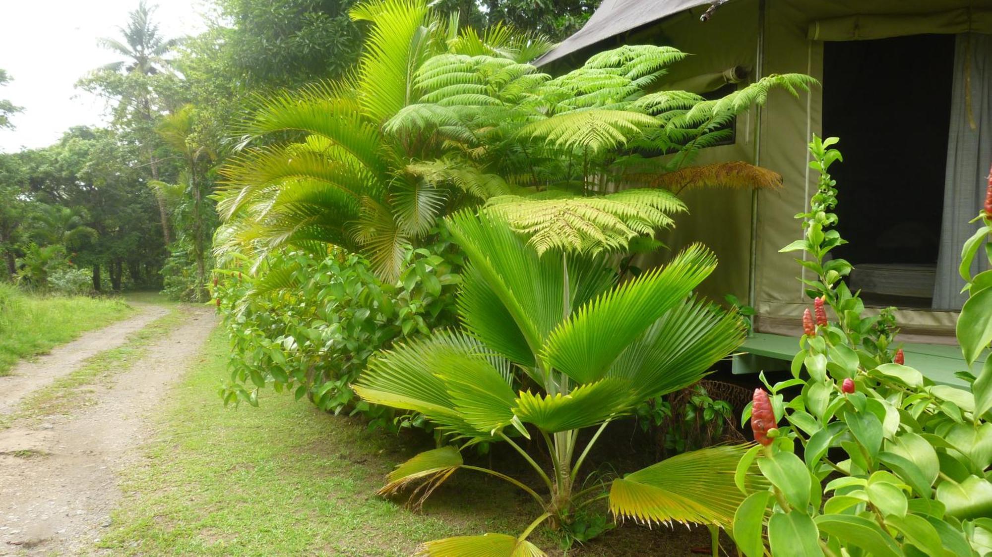 Citrus Creek Plantation Villa La Plaine ห้อง รูปภาพ