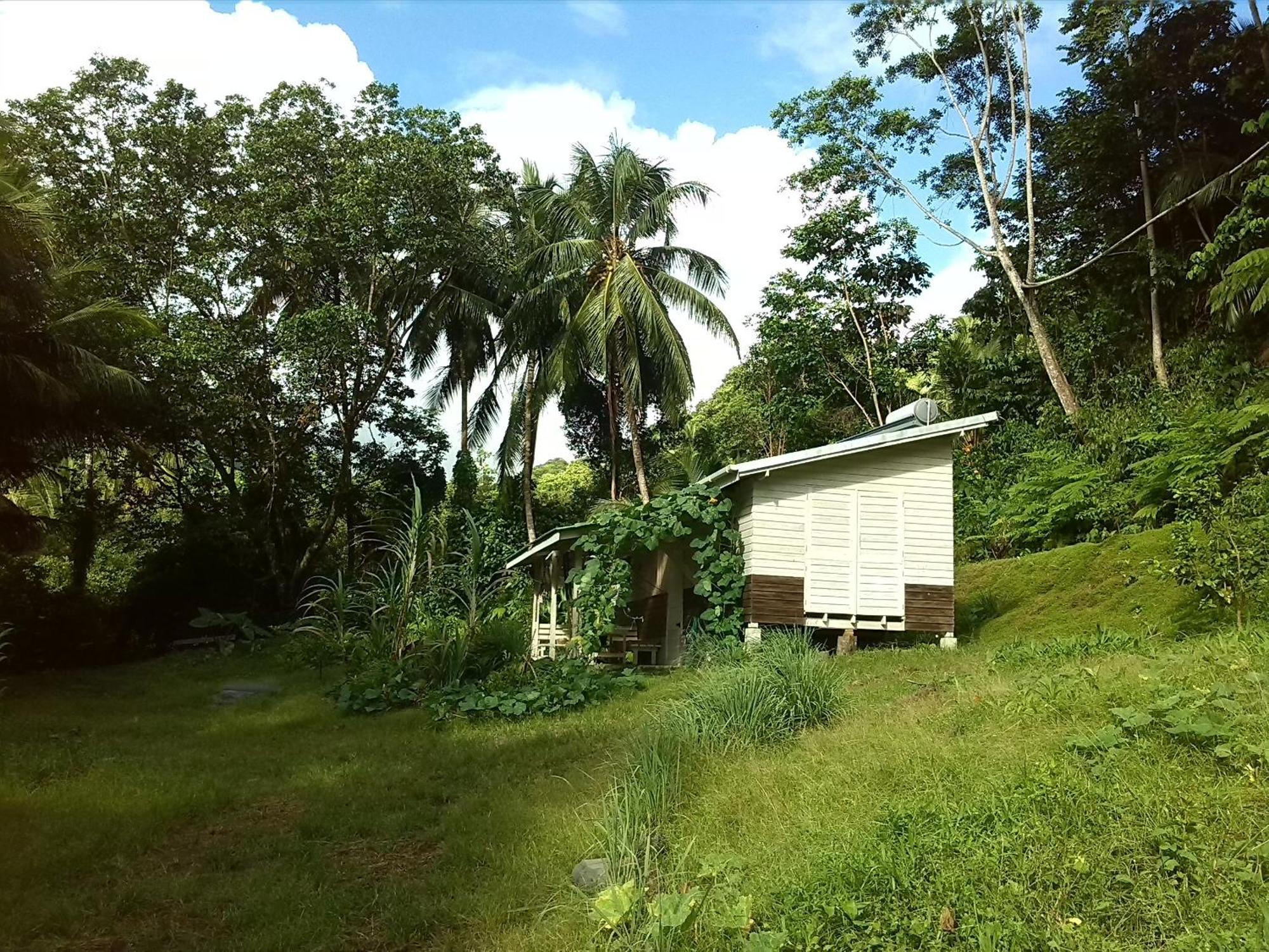 Citrus Creek Plantation Villa La Plaine ห้อง รูปภาพ