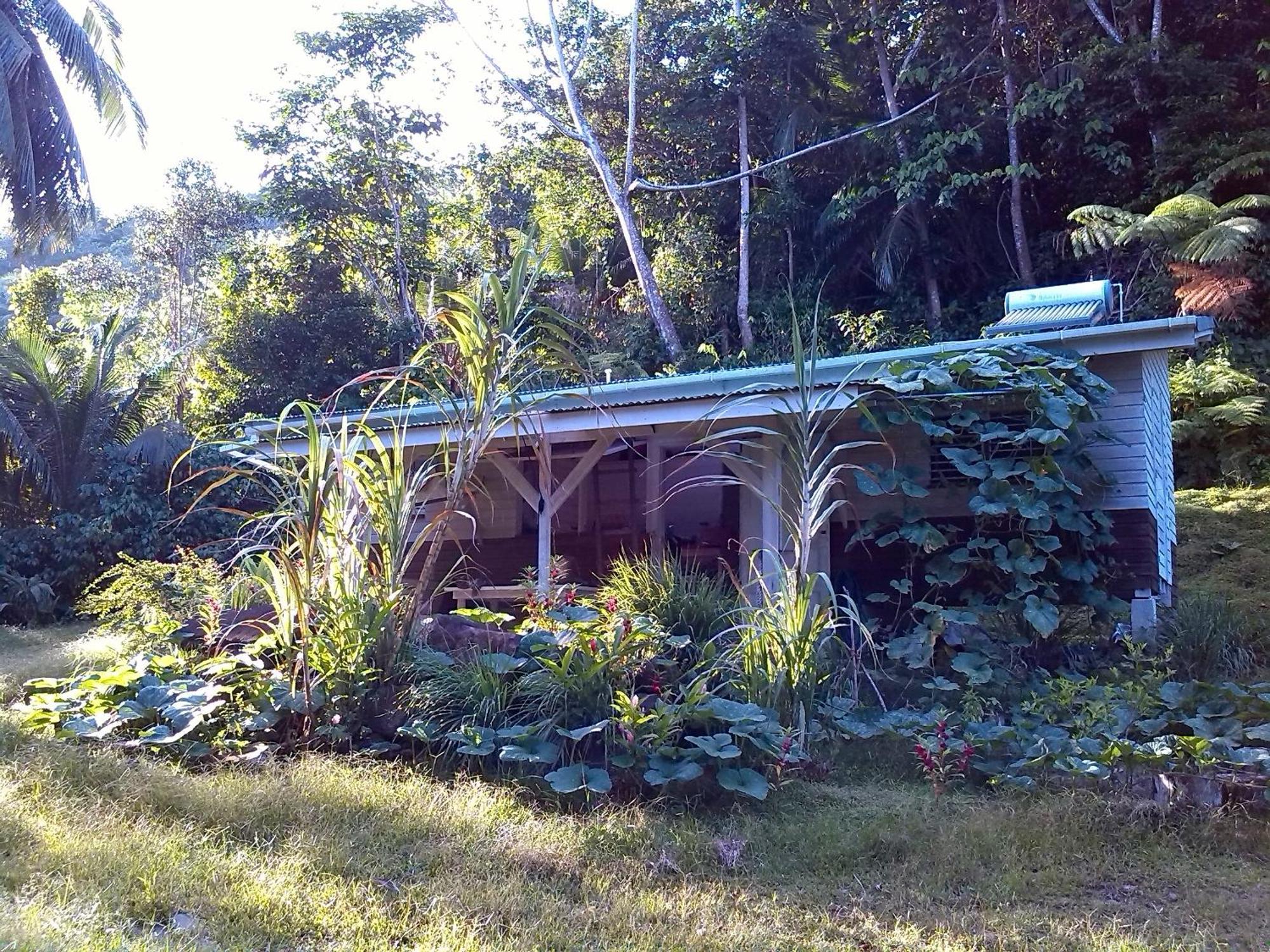 Citrus Creek Plantation Villa La Plaine ห้อง รูปภาพ