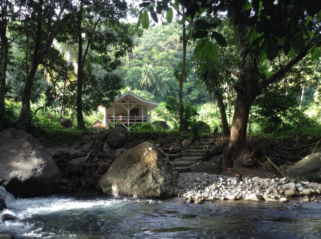 Citrus Creek Plantation Villa La Plaine ภายนอก รูปภาพ